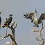 thumbs/IMG_4515.jpg